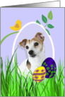 Easter Card featuring a Jack Russell Terrier card