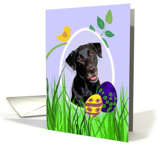 Easter Card featuring a black Labrador Retriever card (786626)