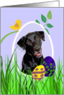 Easter Card featuring a black Labrador Retriever card