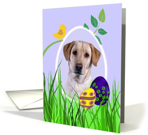 Easter Card featuring a yellow Labrador Retriever card (786628)