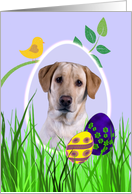 Easter Card featuring a yellow Labrador Retriever card