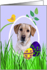 Easter Card featuring a yellow Labrador Retriever card