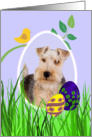 Easter Card featuring a Lakeland Terrier card