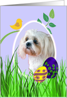 Easter Card featuring a Lhasa Apso card