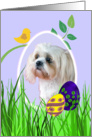 Easter Card featuring a Lhasa Apso card