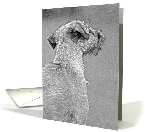 Pet Loss Sympathy Card featuring a Border Terrier card (789434)