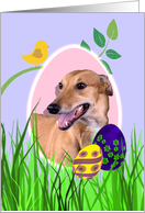 Easter Card featuring a Greyhound card