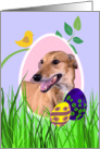 Easter Card featuring a Greyhound card