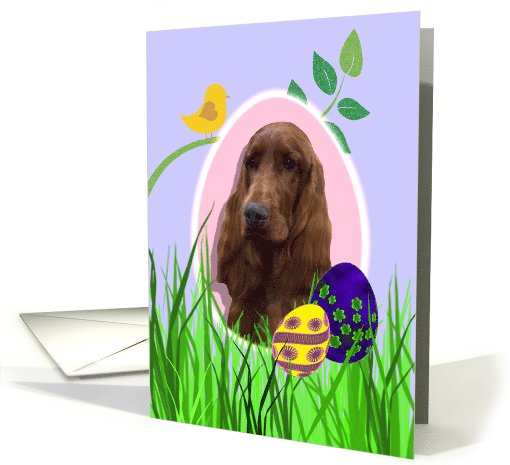 Easter Card featuring an Irish Setter card (789696)
