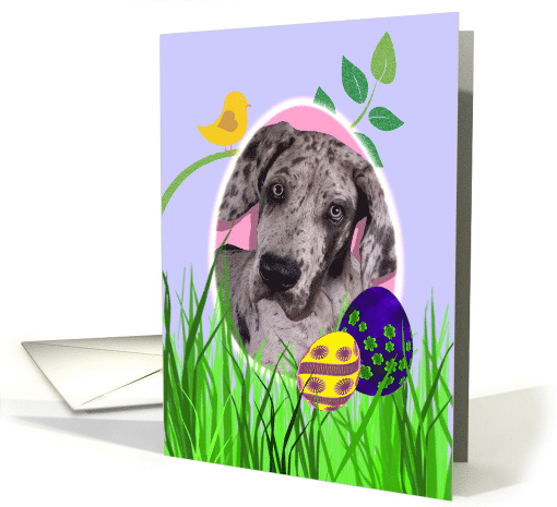 Easter Card featuring a Great Dane puppy card (789700)
