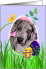Easter Card featuring a Great Dane puppy card