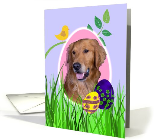 Easter Card featuring a Golden Retriever card (789701)