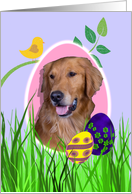 Easter Card featuring a Golden Retriever card