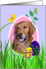 Easter Card featuring a Golden Retriever card