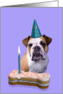 Birthday Card featuring an English Bulldog card