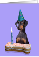 Birthday Card featuring a Doberman Pinscher (with natural ears) card