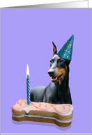 Birthday Card featuring a Doberman Pinscher card