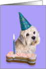 Birthday Card featuring a Dandie Dinmont Terrier card