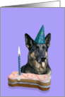 Birthday Card featuring a German Shepherd Dog card
