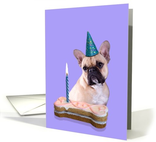 Birthday Card featuring a French Bulldog card (789723)