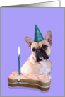 Birthday Card featuring a French Bulldog card
