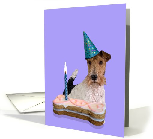 Birthday Card featuring a Wire Fox Terrier card (789724)