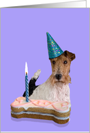 Birthday Card featuring a Wire Fox Terrier card