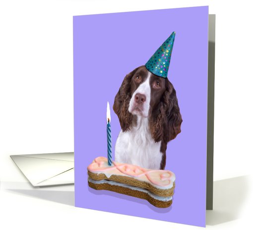 Birthday Card featuring a liver/white English Springer Spaniel card