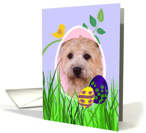 Easter Card featuring a Glen of Imaal Terrier card (791828)