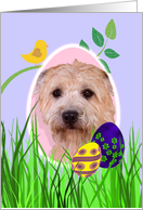 Easter Card featuring a Glen of Imaal Terrier card