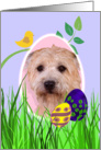 Easter Card featuring a Glen of Imaal Terrier card