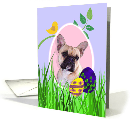 Easter Card featuring a French Bulldog card (791878)