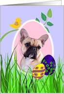 Easter Card featuring a French Bulldog card