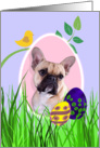 Easter Card featuring a French Bulldog card