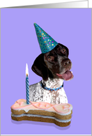 Birthday Card featuring a German Shorthaired Pointer card