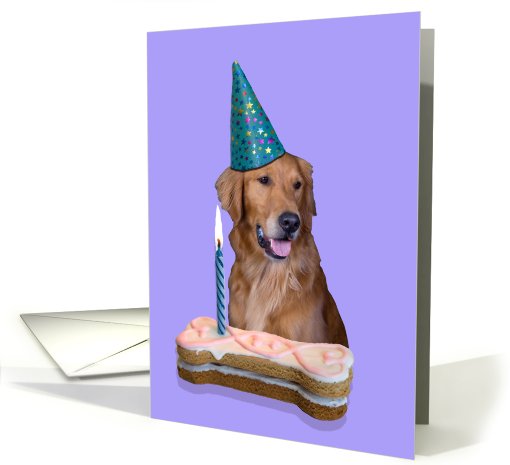 Birthday Card featuring a Golden Retriever card (791904)