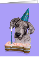 Birthday Card featuring a Great Dane Puppy card