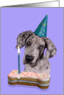 Birthday Card featuring a Great Dane Puppy card