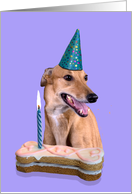 Birthday Card featuring a Greyhound card