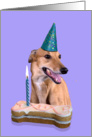 Birthday Card featuring a Greyhound card