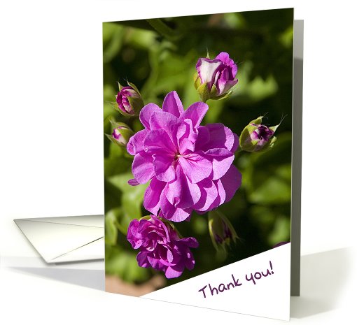 Thank You card featuring a Purple Geranium card (792817)