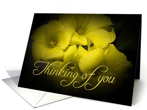 Thinking of You card featuring yellow Oxalis flowers card (792819)