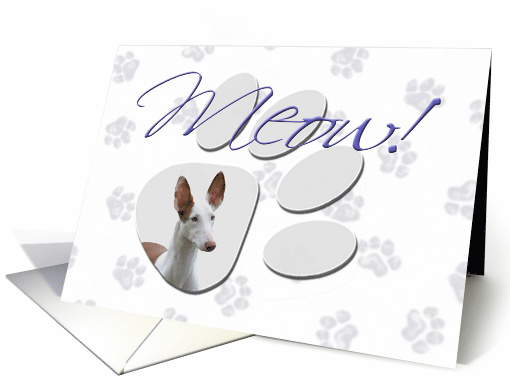 April Fool's Day Greeting - featuring an Ibizan Hound card (793610)