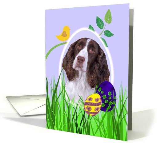 Easter Card featuring a liver English Springer Spaniel card (793830)
