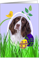 Easter Card...