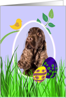 Easter Card featuring a liver English Cocker Spaniel card