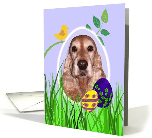 Easter Card featuring a gold English Cocker Spaniel card (793833)