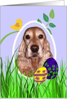 Easter Card featuring a gold English Cocker Spaniel card