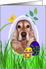 Easter Card featuring a gold English Cocker Spaniel card