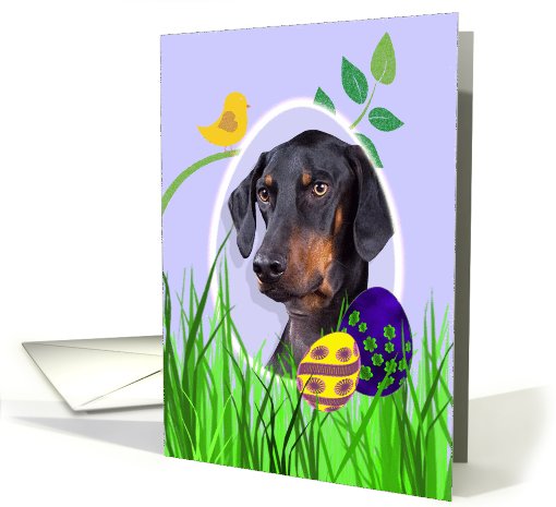 Easter Card featuring a Doberman Pinscher with natural ears card